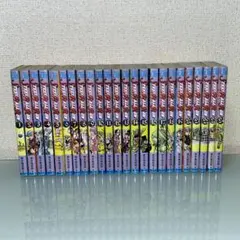 スティールボールラン 完結 24巻 全巻 荒木飛呂彦 レンタル - メルカリ