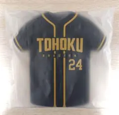 Item thumbnail for item 801636f8-fc35-4b52-aadc-543926a208ff