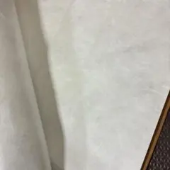 Item thumbnail for item 44fedc25-a0f0-495e-a2ee-72130d384299