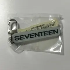 SEVENTEEN RIGHT HERE カプセルトイ アクキー パフォチ
