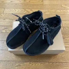 Item thumbnail for item 15d4ae7f-28b2-4c83-bc1d-5803a652b5c5