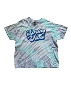 【GILDAN】Spring Vibes タイダイ Tシャツ 2XLサイズ　古着