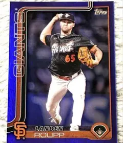 Landen Roupp /250 パラレル