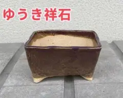 未使用 ゆうき祥石 盆栽鉢 植木鉢