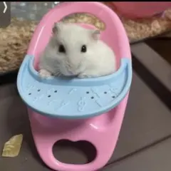 Item thumbnail for item a2dabb37-9aea-4eaa-a74c-ff968c19646c