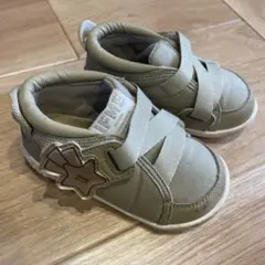 Item thumbnail for item 63a23cd5-f46a-482e-8d0c-1f5aed18acd3