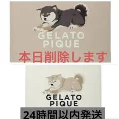 gelato pique ジェラートピケ スムーズィー柴犬ジャガードブランケット