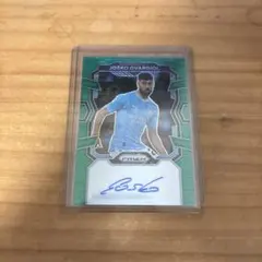 Item thumbnail for item 089e2110-1373-48b7-aee7-dcd8aa67b585