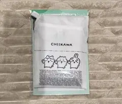 Item thumbnail for item 636b4f0d-0ef2-4c1e-a40c-77c0d7a2ca20