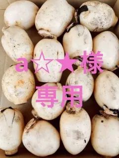 a☆★様専用