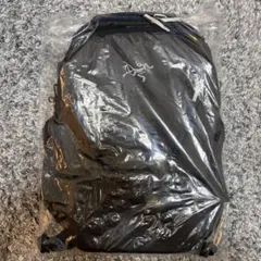 【新】ARC'TERYX Mantis 26 Backpack Lodestarのサムネイル
