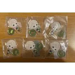 アクリルキーホルダー6個セット 缶バッジ付き