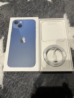 純正 iPhone13 空箱 ライトニングケーブル タイプC
