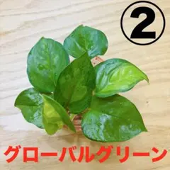 せな 発送にお時間頂きます様 リクエスト 3点 まとめ商品