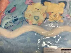 【新品】ポケモン ポケット付きブランケット