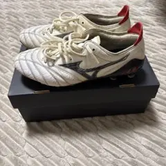 モレリアネオ3 24.5cm