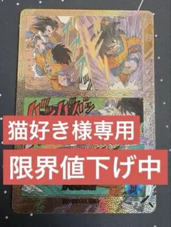 APT-005 孫悟空 GDR★★ スーパーパラレル