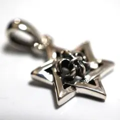 シルバー925 シルバーネックレス トップ ダビデの星 六芒星 紋章 百合の紋章