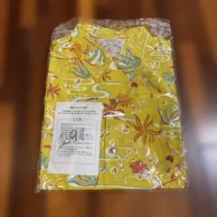 Item thumbnail for item e182258d-ee3e-473f-be39-1a729c2632d5