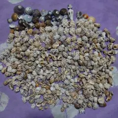 Item thumbnail for item f7927219-3265-4782-8b38-60daa9e747f8