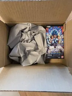 ドラゴンボール フュージョンワールド DUAL EVOLUTION FB09