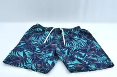 Item thumbnail for item d5098c40-93ce-4441-a095-3a130fdb01ca