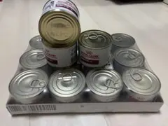 Item thumbnail for item 399705a5-e302-4e41-96bb-f3ac0c0382bf