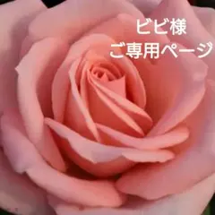 ビビ様ご専用ページ
