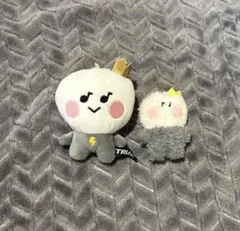 TREASURE ヨシ TRUZ ヨチ2個セット