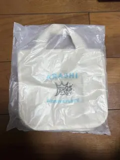 Item thumbnail for item beaf5ce4-96eb-40e3-b1a2-408aa1993c6b