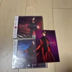 山内恵介 紅の蝶 2枚組 CD 特典ポストカード付