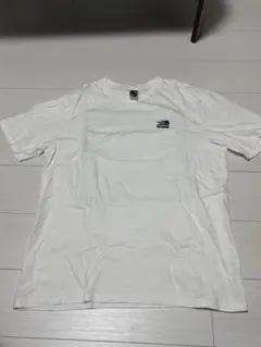 Supreme The North Face Bandana White