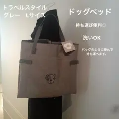 Item thumbnail for item 74f0dc29-e1e1-45f4-a705-895e3e8e1b6e