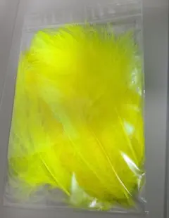 Item thumbnail for item ff80ad85-d769-42fa-8599-ee247aeaf706