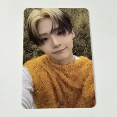 ALD1 EUPHORIA STARROAD サンウォン トレカ