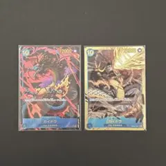 カイドウ 2枚セット