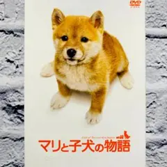 (未使用･未開封品)　マリと子犬の物語 スタンダード・エディション [DVD] ar3p5n1 マリと子犬の物語 スタンダード・エディション 【DVD】 東宝｜TOHO