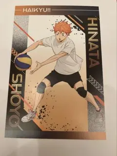 ハイキュー‼︎ ユース・疑似ユース合宿フェア アニメイト 国見英