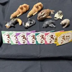 zoozoozooシリーズ 8体まとめ売り 詰め合わせ 動物フィギュア