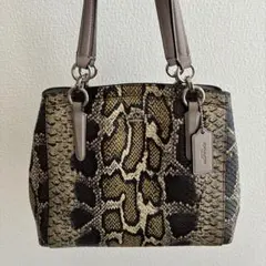 美品　希少　レア　coach コーチ　ハンドバッグ　パイソン　ショルダーなし