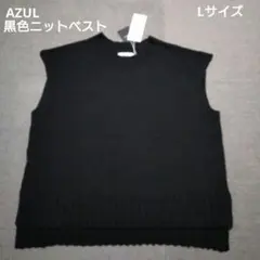 AZUL BY MOUSSY ブラックニットベスト Lサイズ