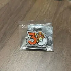 ポケモン 30周年記念 メタルチャーム ヒトカゲ