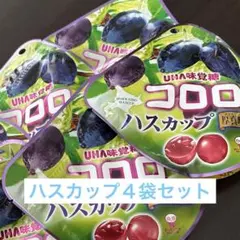 コロロ●ハスカップ●４袋セットのサムネイル
