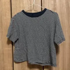 ストライプ Tシャツ 半袖 ネイビー ホワイト