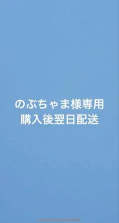 のぶちゃま様専用　購入後翌日発送