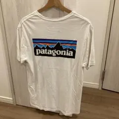 Patagonia パタゴニア TシャツS白