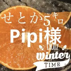 2026年最新】スイートピー マツカナの人気アイテム - メルカリ
