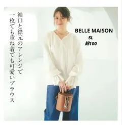 レースブラウス チュニック 長袖 綿 ホワイト 大きいサイズ 5L ゆったり