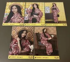 乃木坂46 生写真 井上和 浴衣 2026 レア ヨリ 座り 5種 コンプ