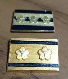 消防階級バッジ!?2種